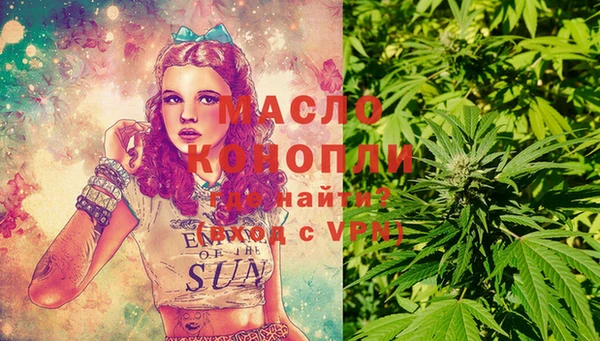 дмт Лиски