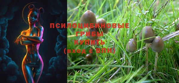 spice Лихославль