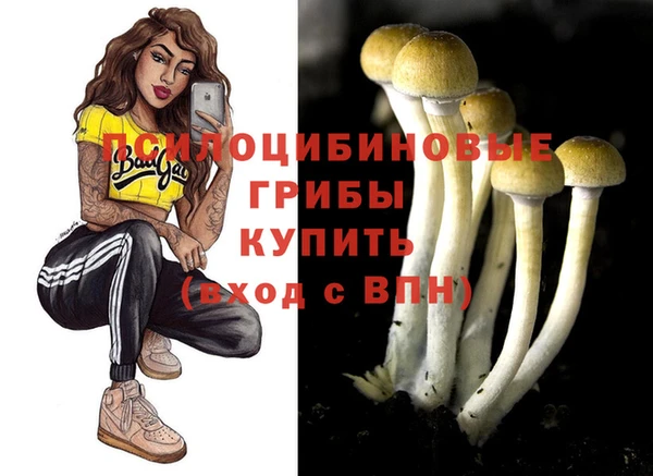 spice Лихославль