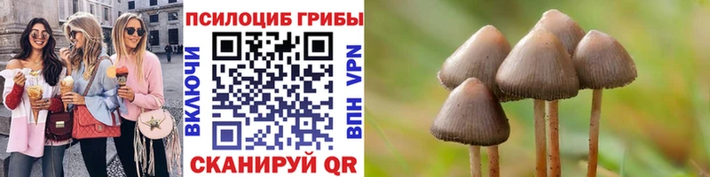 Купить где Курганинск Галлюциногенные грибы Magic Shrooms